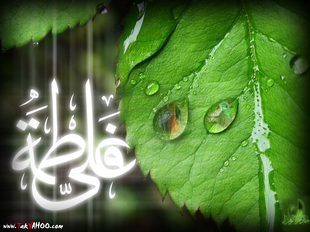 زوج خوشبخت شیعه