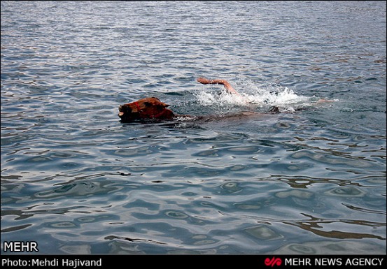 //bayanbox.ir/id/6037498145171256135?view