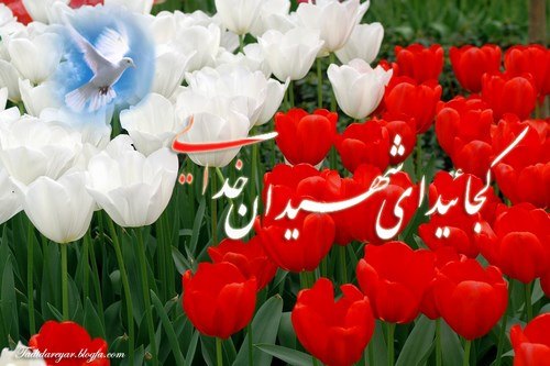 مردان آسمانی