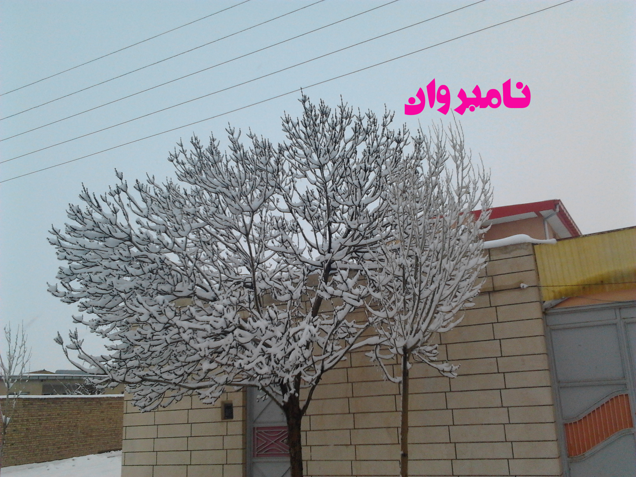 sharabian