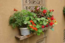 مجموعه افکت های فتوشاپ در یک ثانیه