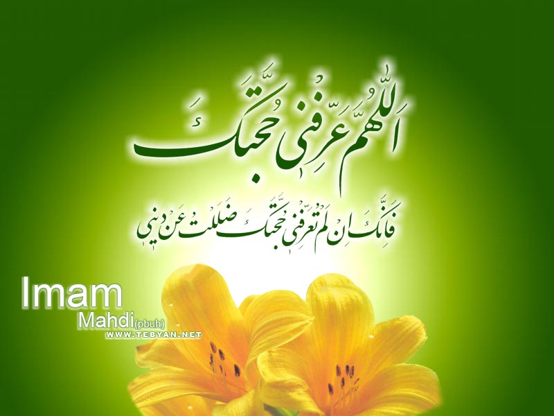 تجلیل آیت الله موسوی جزایری از کتاب مهدوی آیت الله صافی