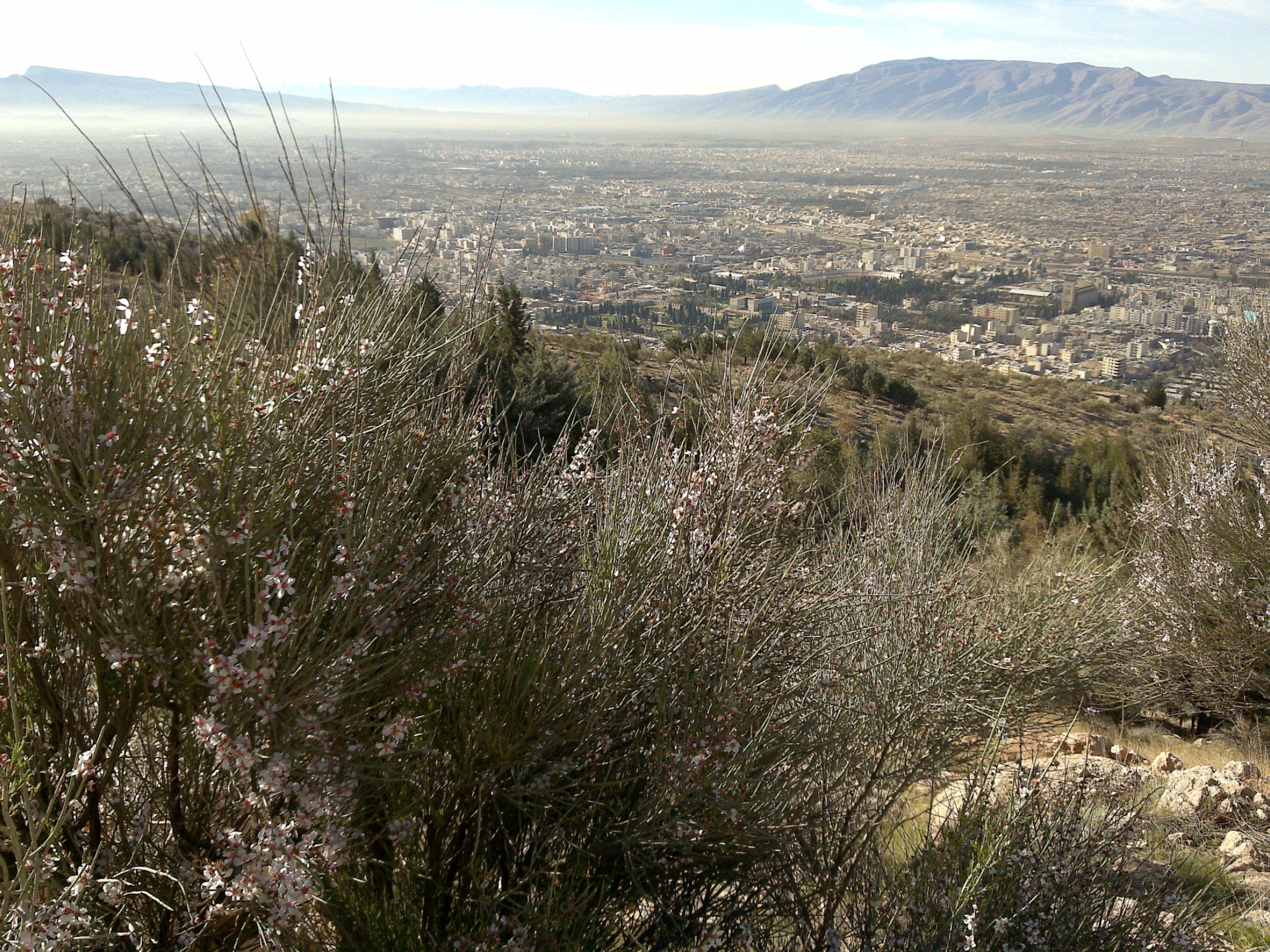 آسمان سرخابی