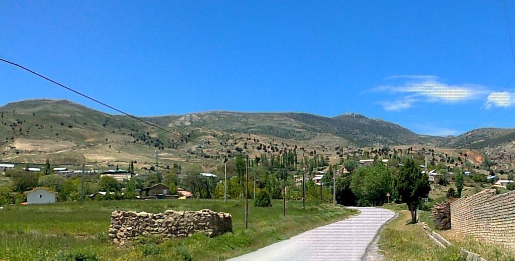 روستای ارا