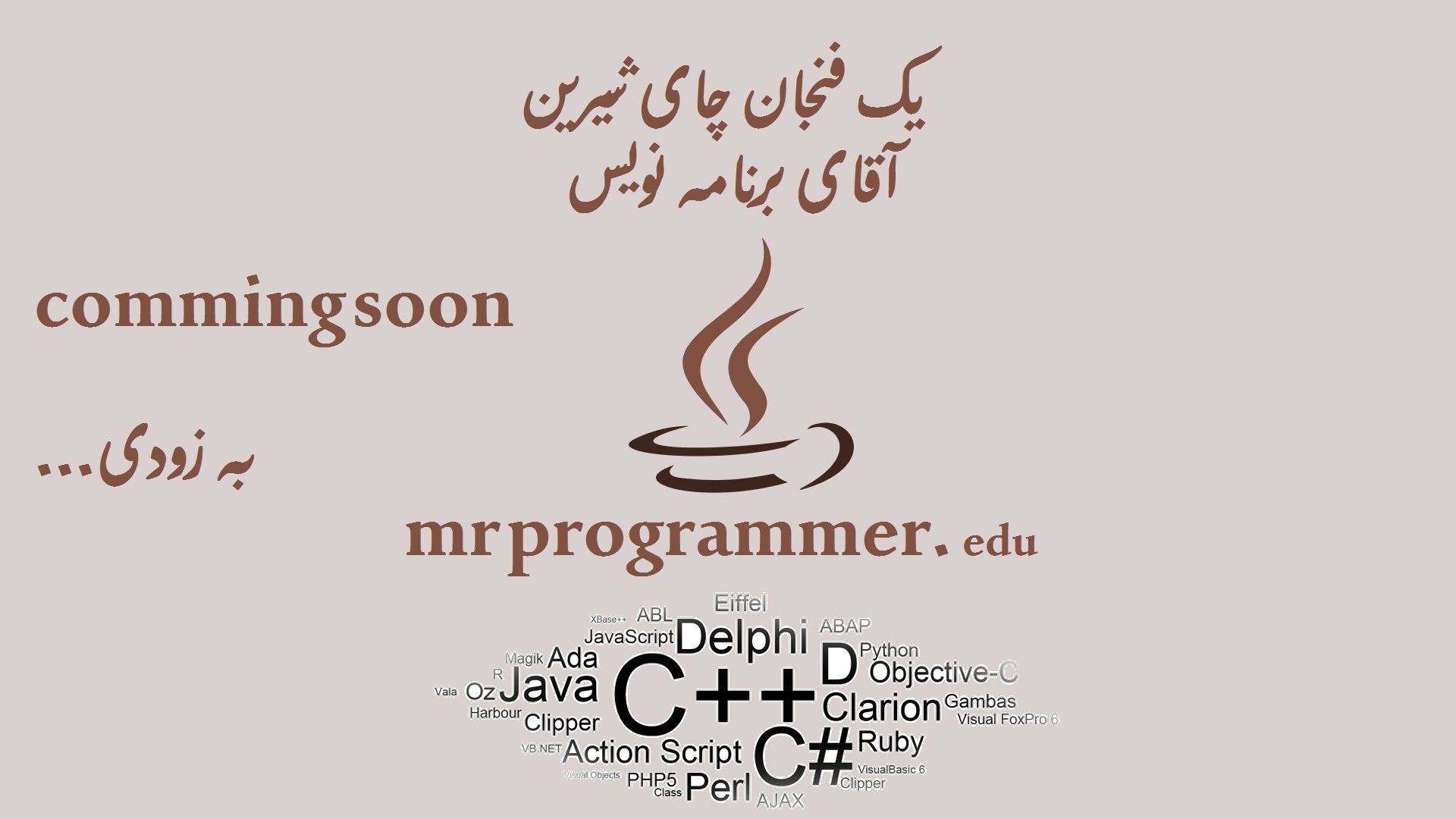 آقای برنامه نویس