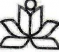 عکس شاهد