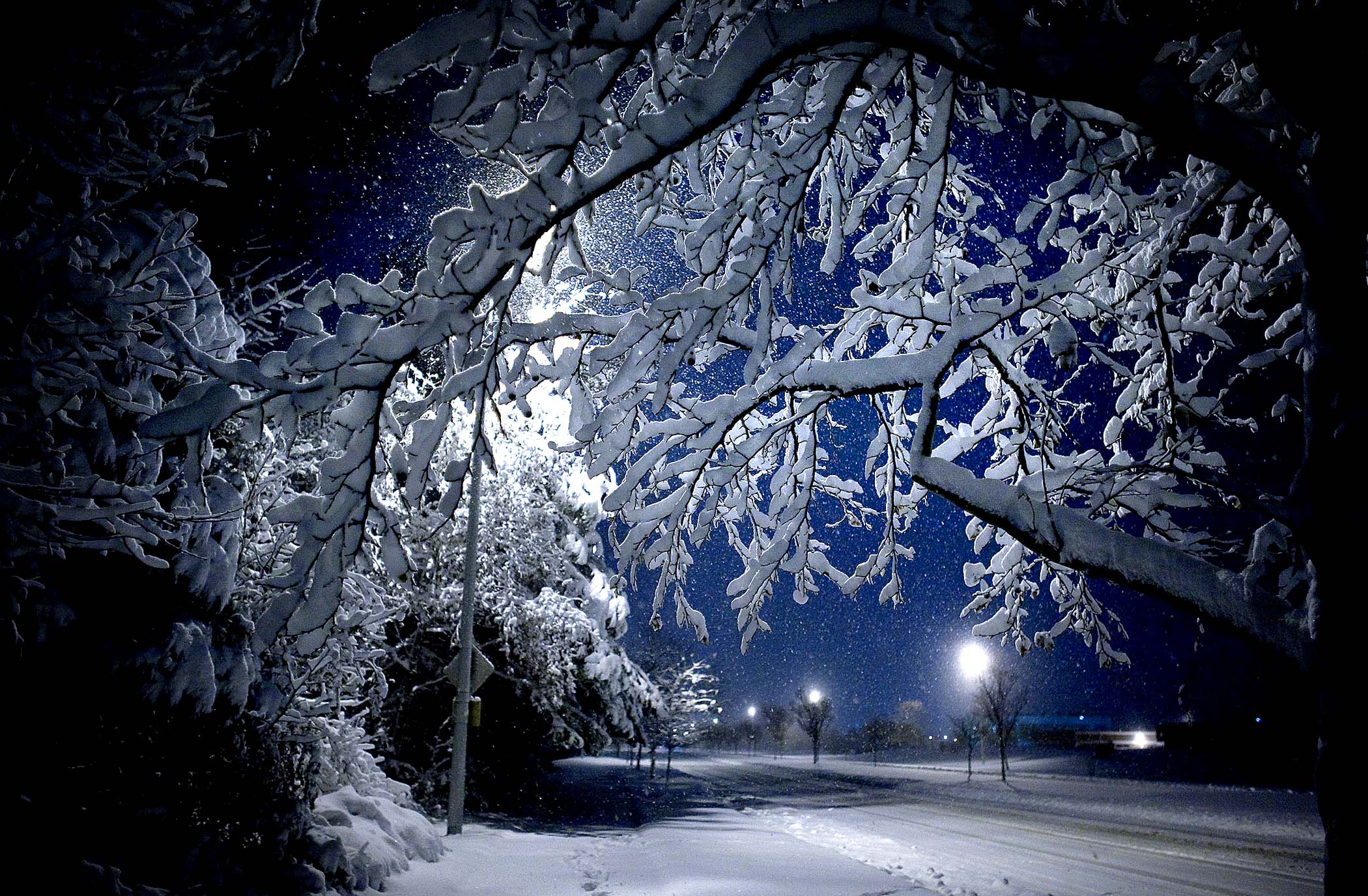 Картинки снега ночь. Зима ночь. Красивая зима. Зимний ночной пейзаж. Красота зимы.