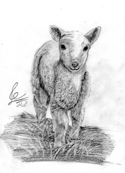 برره