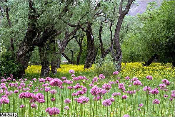 //bayanbox.ir/id/8862102553403703242?view