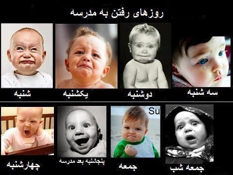 معلم تربیت بدنی