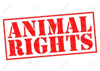 Animal rights