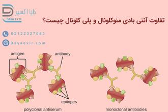 آنتی بادی منوکلونال و پلی کلونال