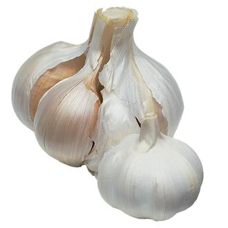 مصرف گیاه سیر
