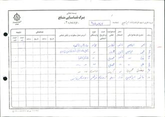 شهید رضا ابراهیمی