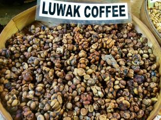 کوپی لواک - Kopi Luwak