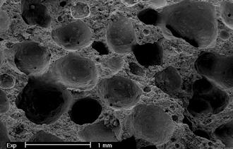 تصویر میکروسکوپی از تخلخل های هبلکس