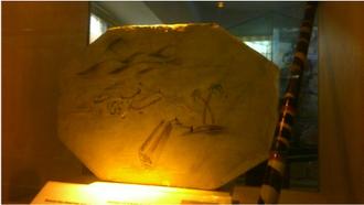 شهید سماوات