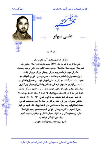 شهید علی برزگر