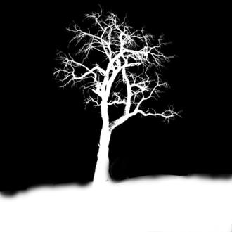 کسی که دوبار زندگیم را عوض کرد