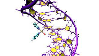 برهم کنش فلز و DNA