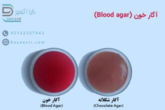 آگار خون (Blood agar)