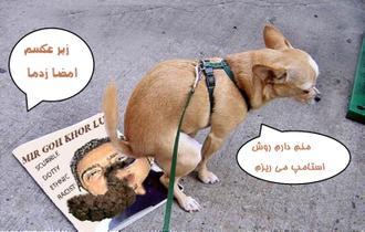 مهدی میرآخورلو
