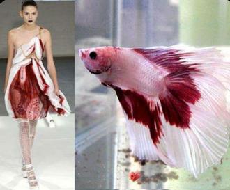 طراحی لباس ایده ماهی آموزشگاه مقتدری