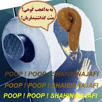  shahin najafi naghi