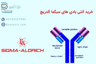آنتی بادی های سیگما آلدریچ