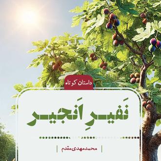 نفیر انجیر
