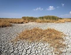 با گران کردن آب از خشکسالی نجات پیدا کنیم