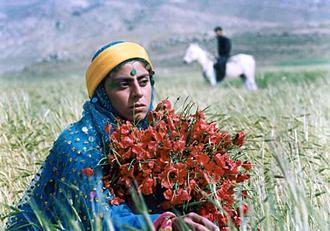 تصویر پنجم