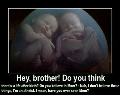 گفتگوی دو برادر قبل از تولد درباره وجود مادر