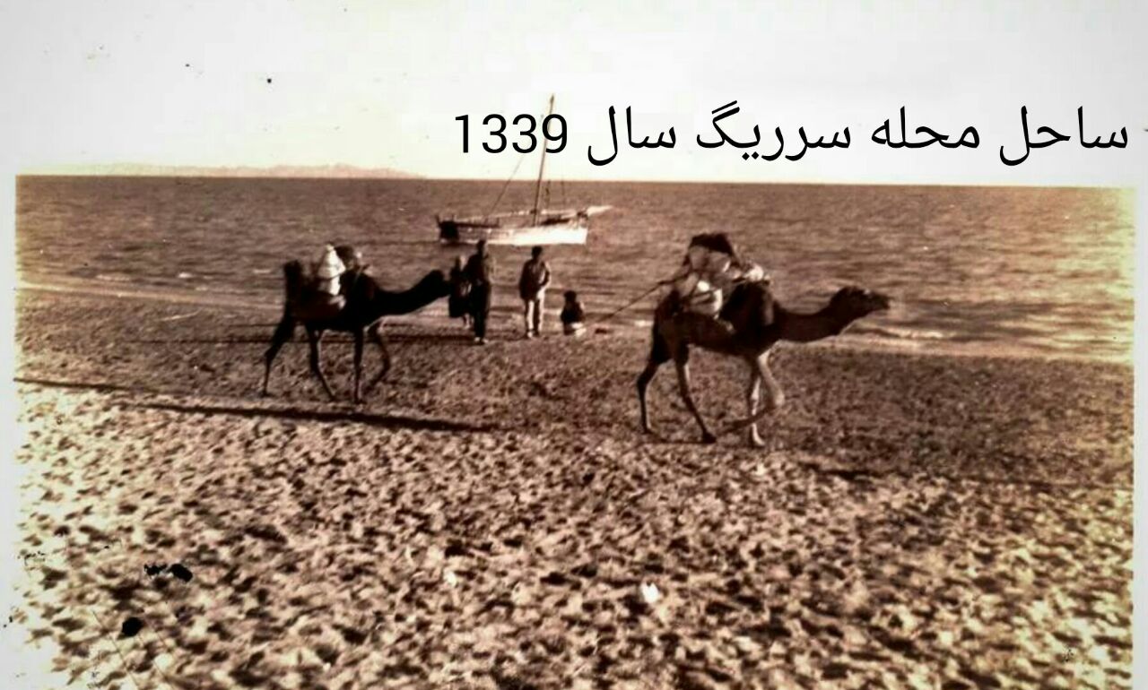 محله سذ ذیگ 1339