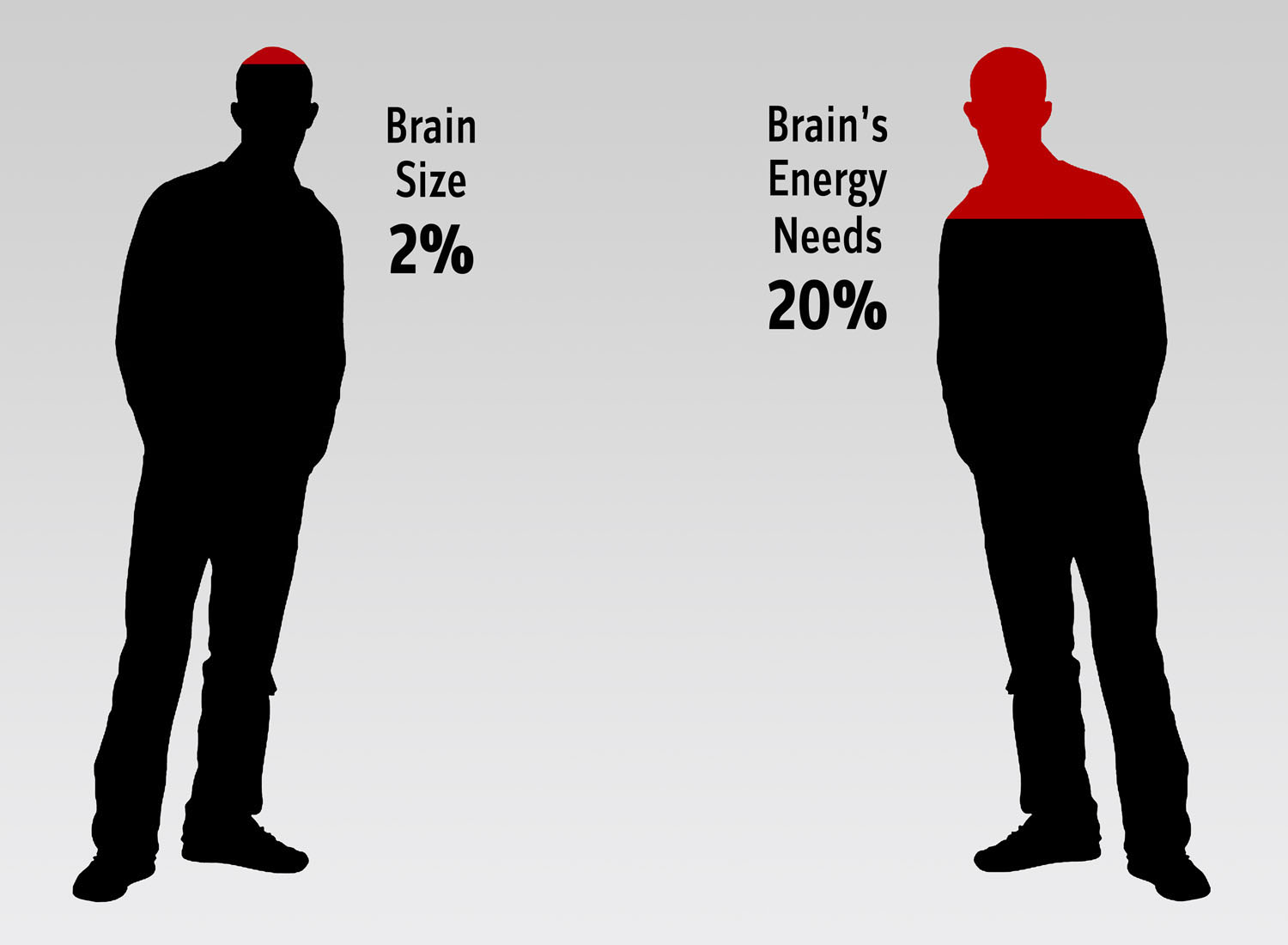 مصرف انرژی مغز