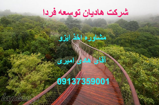 ISO consulting