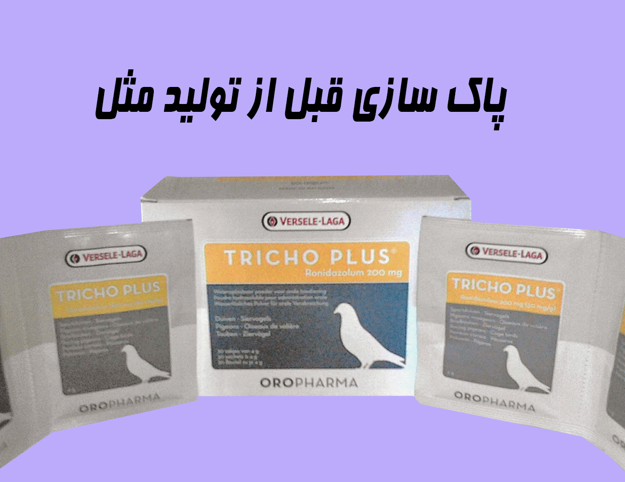 تریکوپلاس پاکسازی قناری
