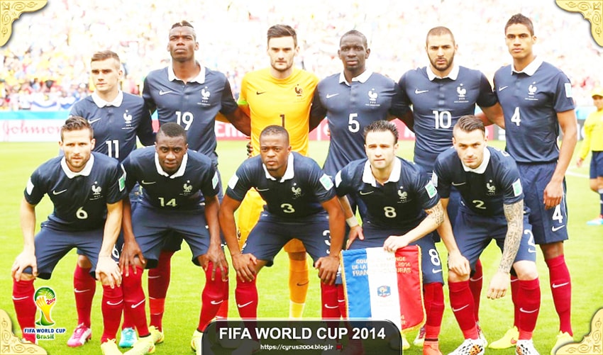 فرانسه در جام جهانی 2014