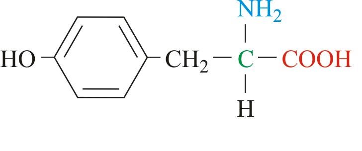 Тирозин формула. Фенилаланин ИЮПАК. Тирозин структурная формула. Тирозин аминокислота формула. Фенилаланин и тирозин формулы.