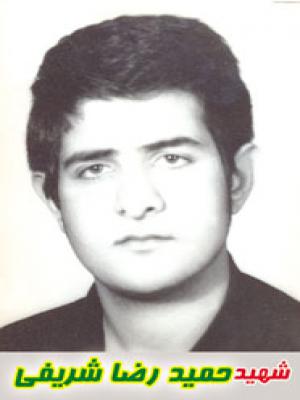 شهید شریفی-حمیدرضا