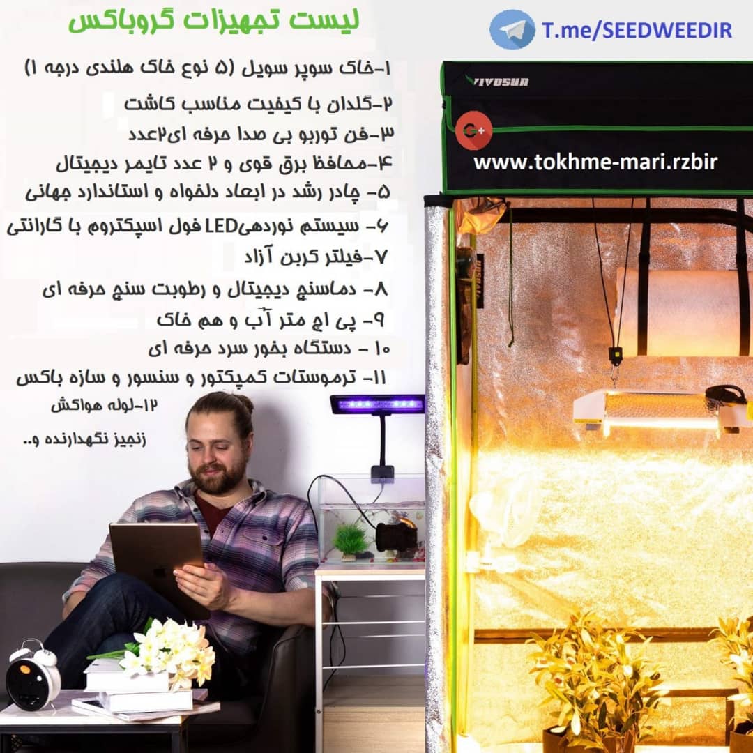  اموزش کاشت ایندور ماریجوانا,انواع بذر ماری جوانا,بذر اصلاح شده ماریجوانا,خرید بذر ماری جوانا از هلند,خرید بذر ماری جوانا تهران,خرید تخم ماریجوانا اصل,خرید سید اصلی وید,فروش بذر ساتیوا,قیمت بذر dna,قیمت بذر ماری جوانا,