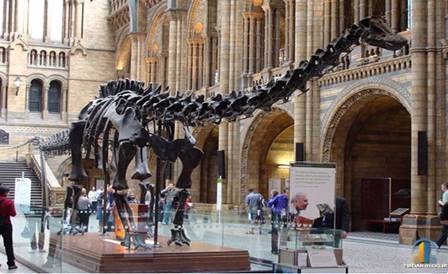ملاقات نزدیک با دایناسورها در موزه تاریخ طبیعی لندن