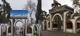 دانشگاه