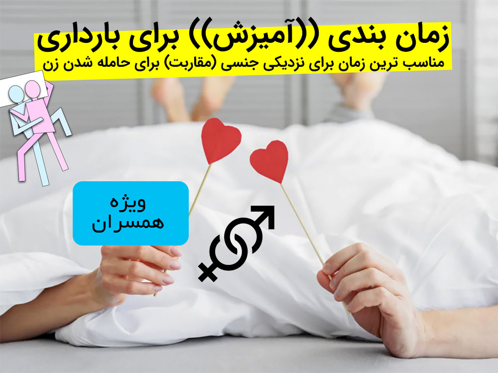 زمان بندی ((آمیزش)) برای بارداری | مناسب ترین زمان برای نزدیکی جنسی (مقاربت) برای حامله شدن زن