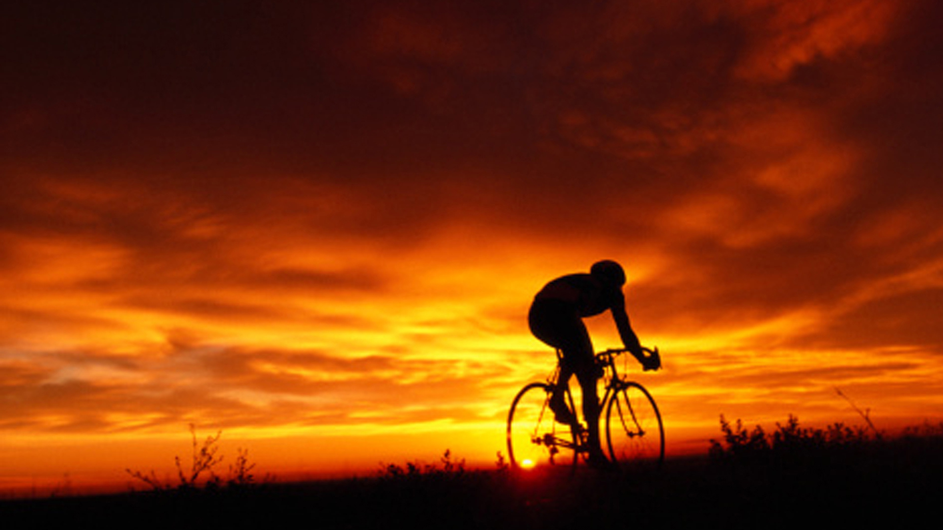 sunset bike ride