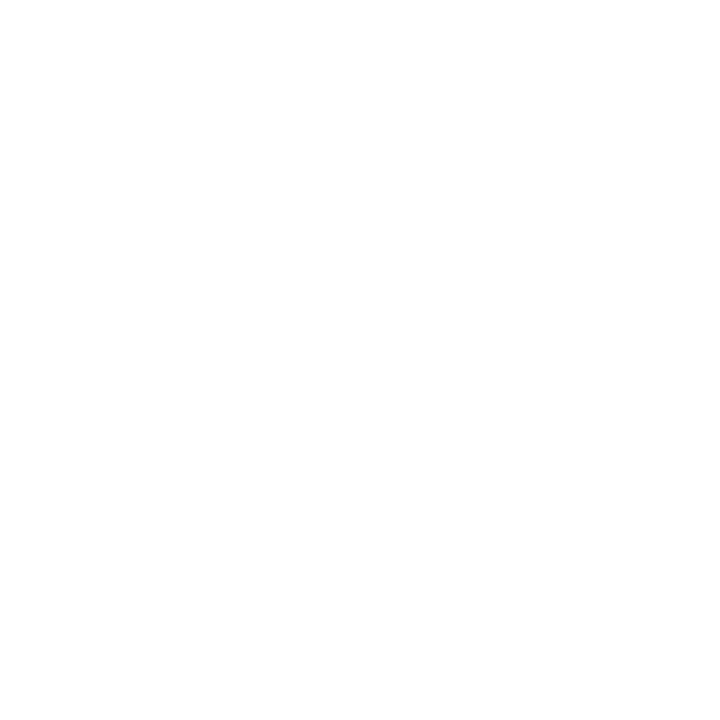 VIP 2 NET