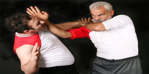 سی فو حسن زاده - 1