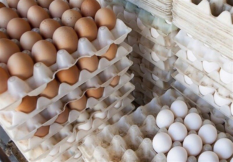 رصد تخم مرغ‌های مصرفی در شیرینی پزی‌های فردوس