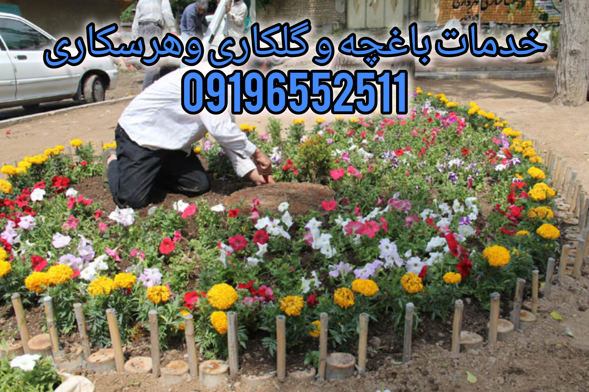 خدمات باغبانی درمحل /09196552511