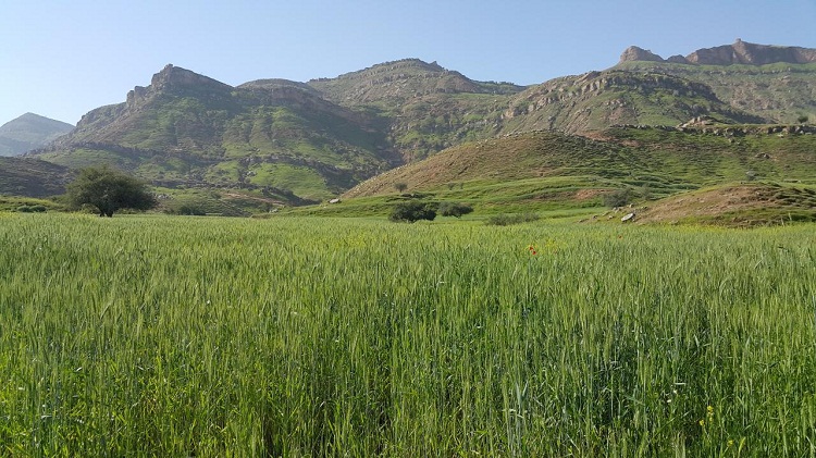 منطقه شهیدان زید روستای گاومیر 28اسفند94 گروه کوهپیمایی رویش دزفول